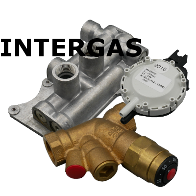 Intergas components