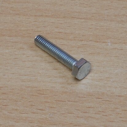 Hexagon bolt M4 x 20 mm galvanized