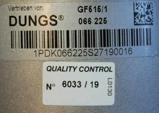 Dungs 066225 Gas filter GF515/1